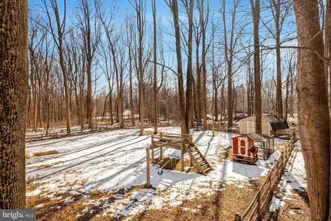 Exterior - 24154 Corktree Ln, Aldie, VA 20105 photo 23 of 23