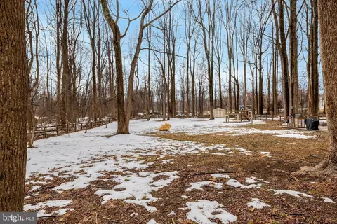 Exterior - 24154 Corktree Ln, Aldie, VA 20105 photo 18 of 23