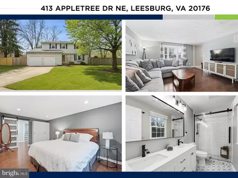 413 Appletree Dr NE, Leesburg, VA 20176