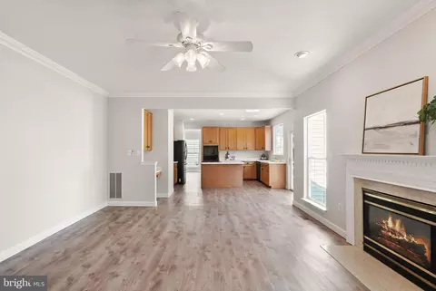 Living - 20504 Deerwatch Pl, Ashburn, VA 20147 photo 7 of 12