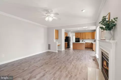 Living - 20504 Deerwatch Pl, Ashburn, VA 20147 photo 8 of 12