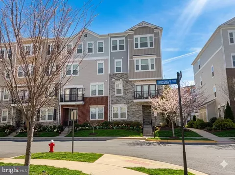 24584 Rosebay Ter, Aldie, VA 20105