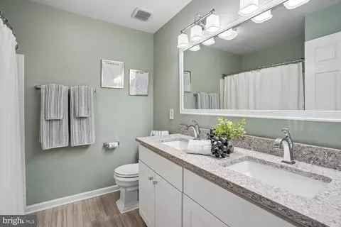Bath - 42787 Oatyer Ct, Broadlands, VA 20148 photo 4 of 5