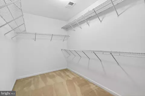 Other - 25825 Spring Farm Cir, Chantilly, VA 20152 photo 12 of 21