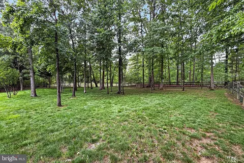 Exterior - 25825 Spring Farm Cir, Chantilly, VA 20152 photo 9 of 12