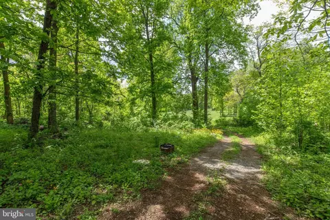 Other - 20711 Blueridge Mountain Rd, Paris, VA 20130 photo 23 of 29