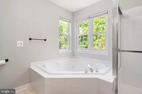 Bath - 21654 Frame Sq, Broadlands, VA 20148 photo 3 of 3