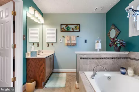 Bath - 20617 Avalon Ct, Sterling, VA 20165 photo 3 of 7