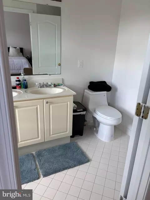 Bath - 21120 Adirondack Ter, Ashburn, VA 20147 photo 1 of 3