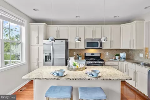 43202 Whelplehill Ter, Ashburn, VA 20148 photo 4