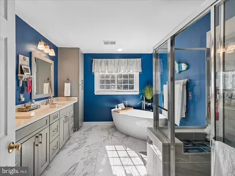 Bath - 20547 Ringold Dr, Ashburn, VA 20147 photo 2 of 6