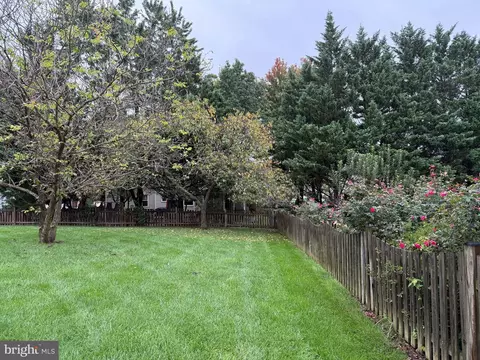43204 Wayside Cir, Ashburn, VA 20147 photo 6