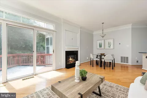 Living - 21436 Falling Rock Ter, Broadlands, VA 20148 photo 4 of 6