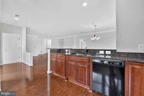 Other - 20580 Hope Spring Ter #204, Ashburn, VA 20147 photo 2 of 16