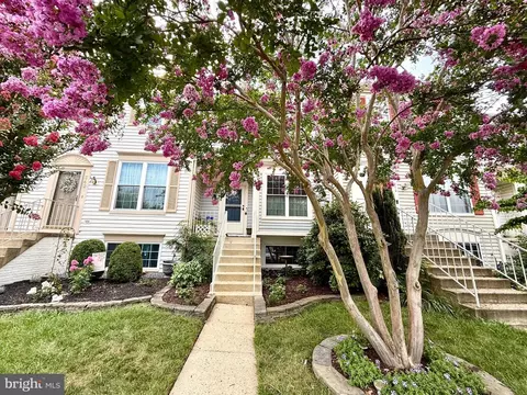 344 Coltsridge Ter NE, Leesburg, VA 20176