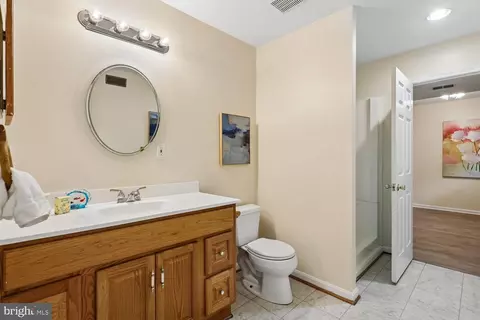 Bath - 20547 Ringold Dr, Ashburn, VA 20147 photo 9 of 10