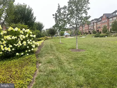 Exterior - 43451 Charitable St, Ashburn, VA 20148 photo 5 of 8