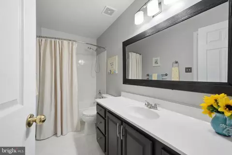 Bath - 21598 Goodwin Ct, Broadlands, VA 20148 photo 5 of 6
