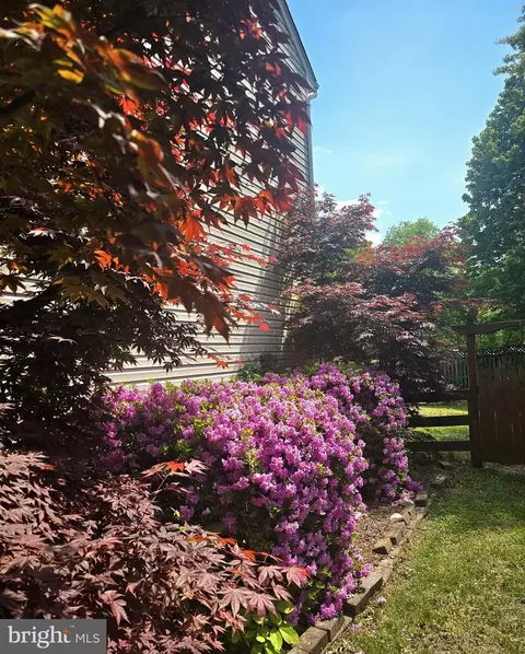 Exterior - 46495 Primula Ct, Sterling, VA 20165 photo 9 of 12