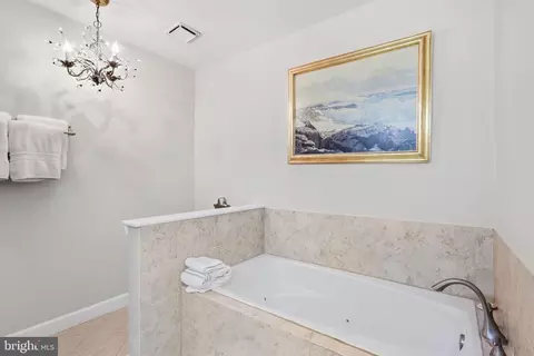 Bath - 20242 Ordinary Pl, Ashburn, VA 20147 photo 2 of 4