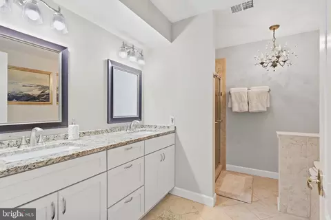 Bath - 20242 Ordinary Pl, Ashburn, VA 20147 photo 1 of 4