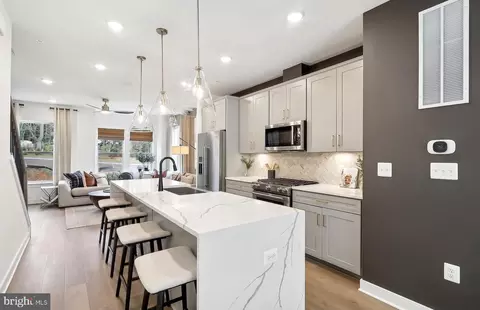 42517 Upper Paddock Ter, Ashburn, VA 20148 photo 3