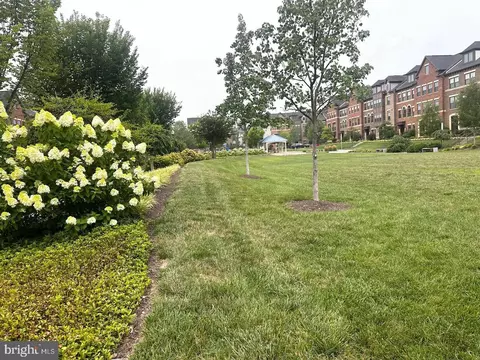 Exterior - 43451 Charitable St, Ashburn, VA 20148 photo 5 of 9