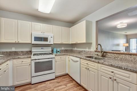 20596 Cornstalk Ter #201, Ashburn, VA 20147 photo 4