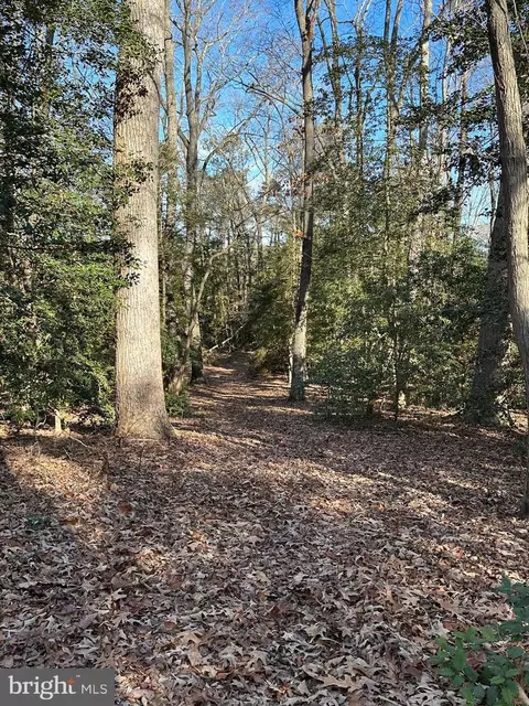 5 Paddock Drive #5, Lancaster, VA 22503 photo 3