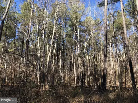 Field Trial Road, Lancaster, VA 22503 photo 14