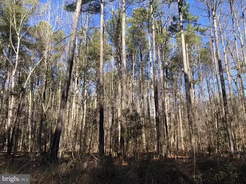 Field Trial Road, Lancaster, VA 22503 photo 13
