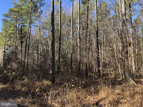 Field Trial Road, Lancaster, VA 22503 photo 12