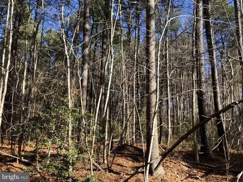 Field Trial Road, Lancaster, VA 22503 photo 11