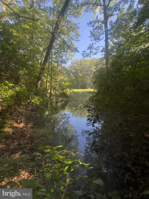 102 Beechwood Dr # B, Weems, VA 22576