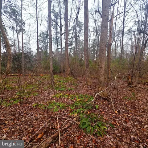 134 West Highview Drive, Lancaster, VA 22503