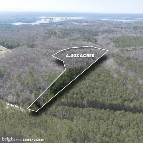 iberis, Lancaster, VA 22503