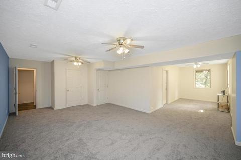 468 George James Loop, Radiant, VA 22732 photo 43