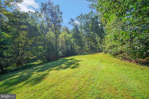 468 George James Loop, Radiant, VA 22732 photo 8