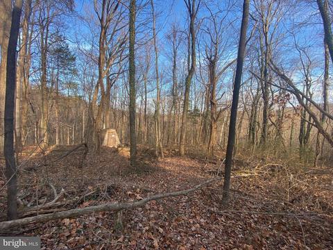 7 Chimney Hollow Road, Syria, VA 22743