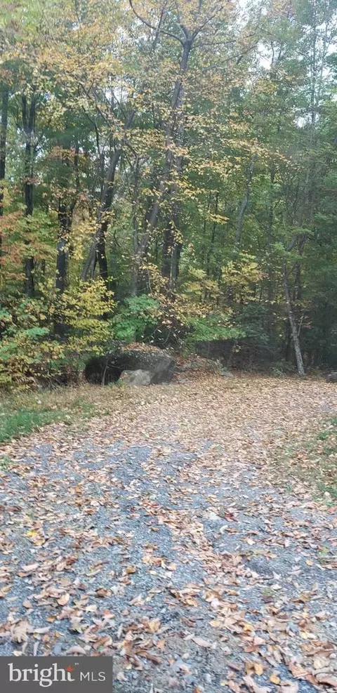 Flat Top Road, Madison, VA 22727 photo 8