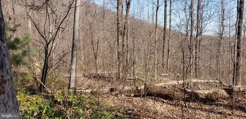 Flat Top Road, Madison, VA 22727 photo 5