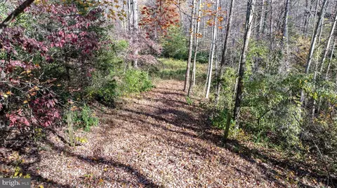 tbd Pine Torch #78A, Madison, VA 22727