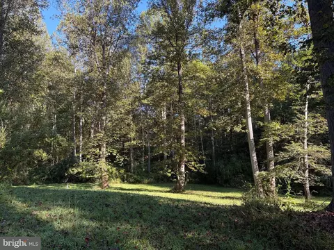 0 Pine Torch, Madison, VA 22727 photo 11