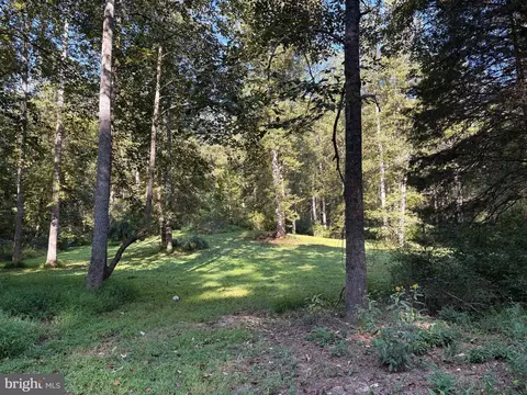 0 Pine Torch, Madison, VA 22727 photo 12