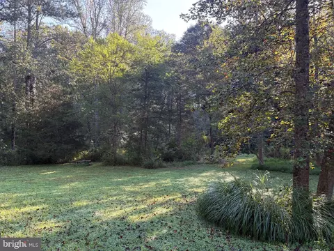 0 Pine Torch, Madison, VA 22727 photo 9