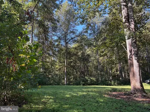 0 Pine Torch, Madison, VA 22727 photo 4