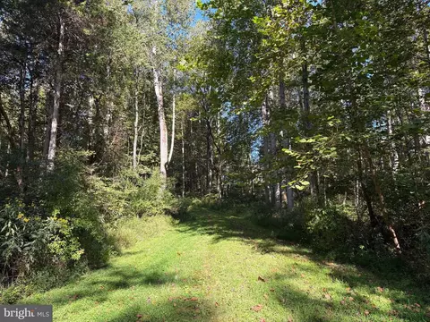 0 Pine Torch, Madison, VA 22727 photo 3