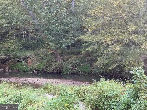0 Pine Torch, Madison, VA 22727 photo 8
