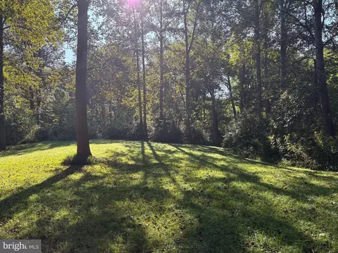 0 Pine Torch, Madison, VA 22727