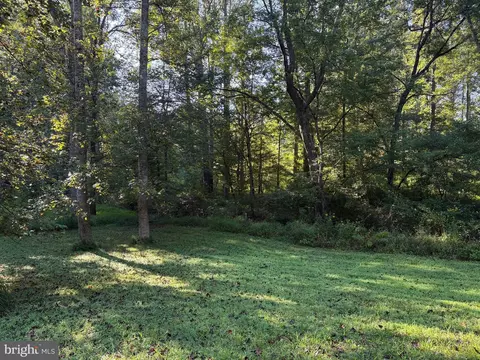 0 Pine Torch, Madison, VA 22727 photo 10